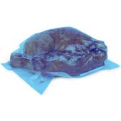 Blue Tint Vaccum Bag 400x600mm 
