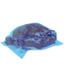 Blue Tint Vaccum Bag 400x600mm